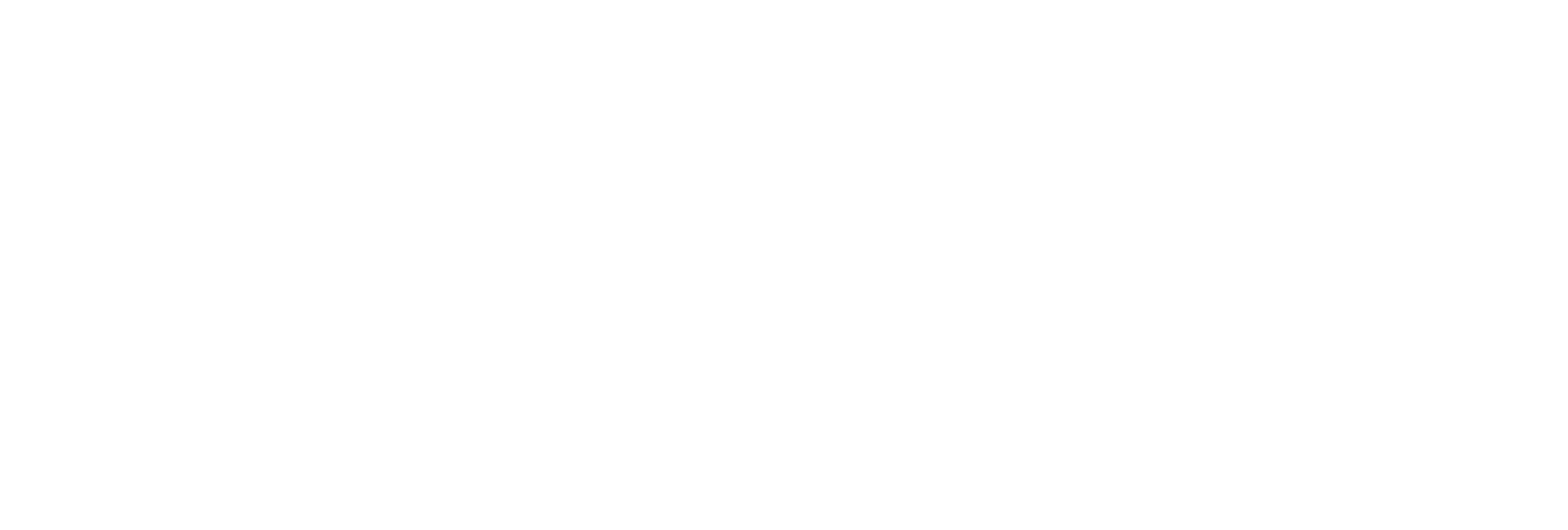 logo bianco-03